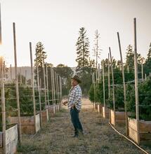 jim belushi na své farmě