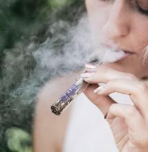 Účinek konopí tvoří synergie více látek, potvrzuje studie