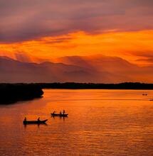 Variedades tradicionales del mundo: Colombia