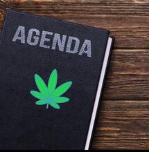 Volles Programm - Eure Cannabis-Termine 2025