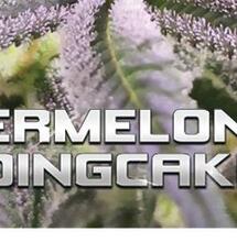 Watermelon Weddingcake