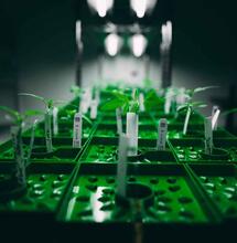 Apuntes del paladar sudamericano