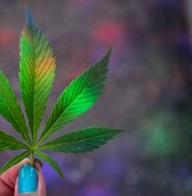 Cannabis vaporisieren! Tipps für Praktiker