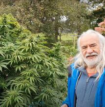 Wernard Bruining, le père de la weed