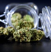 The Rising Potential of Minor Cannabinoids