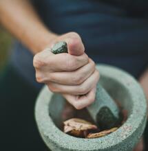 The Benefits of Ginseng and Longevity Herbs