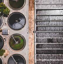  Hemp for Wastewater Treatment: A Sustainable Solution