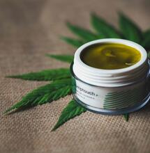 What to Look For When Buying CBD Products