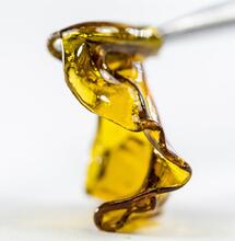 Solventless Extractions