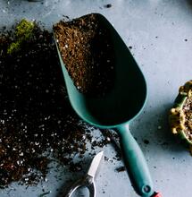 What are the differences between soil and coco