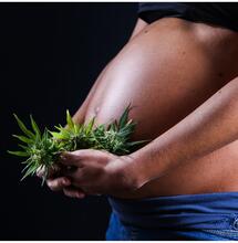Cannabis in gravidanza: si può?