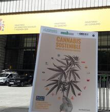 OECCC entrega al Ministerio de Derechos Sociales un informe para alinear políticas de Cannabis con la Agenda 2030 de la ONU