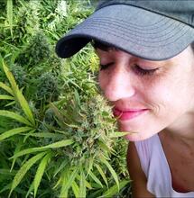 Hablando con la Dra. Weed