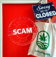 Juicy Fields: bloccati i prelievi, si teme una truffa