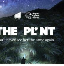 The Pl*nt: Raphael Mechoulam’s Final Interview and the Future of Cannabis