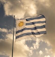 Uruguay's Cannabis Market: Legal Sales Surpass Illegal Purchases in 2026