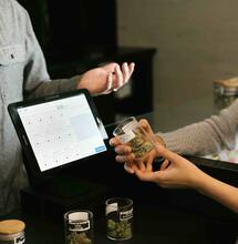 Switzerland's Züri Can project: A model for future cannabis regulation