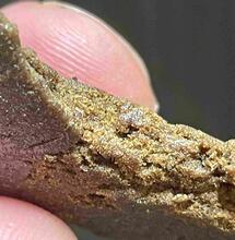 Wietexperiment: nog steeds zorgen om kwaliteit hasj