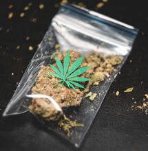 Is Medical Cannabis Cost Reimbursement Ending in Germany?