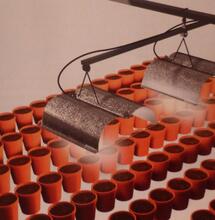 Tout savoir sur la culture hydroponique