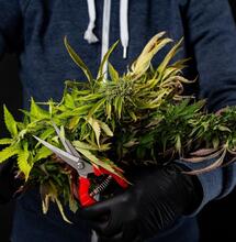 Większe zbiory cz.2