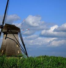 Większość Holendrów chce legalizacji konopi indyjskich