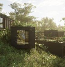 Zac Efron Building Sustainable Hemp Home