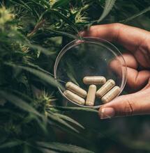 Zbyt mocny haj? Jest na to sposób