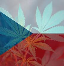 legalizace marihuany v ČR