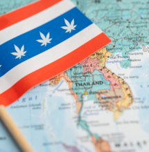 Thailand legalisiert Cannabis… teilweise
