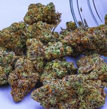 Zimna plazma: rewolucja w technologii konopnej