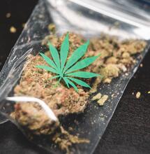 Rolling a Joint, the Must-Have Stoner Skill