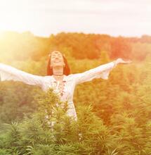 Wietrokers zijn socialer en minder hebzuchtig