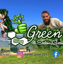  scuola di coltivazione idroponica per grower