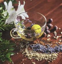 Adattogeni e Cannabis: alleati naturali contro lo stress