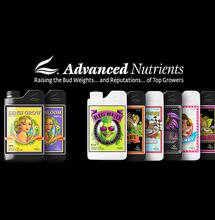 Advanced Nutrients, bardziej niż kiedykolwiek gotowi do podbicia Europy