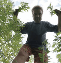 AgroFuturo: ¿cannabis en Chile?