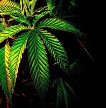 Mantén el aire del indoor limpio: consejos.