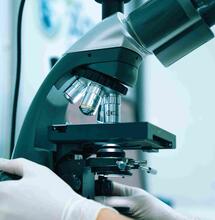 El sistema endocannabinoide por el Dr. Grinspoon
