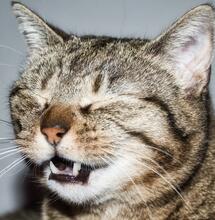 He-pšííík…alergie na trávu a dalších 9 zábavných faktů o konopí