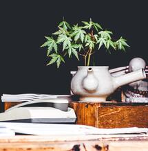 Grazie a Alexandre Chambon di Unspalsh per la foto