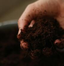 Sustratos-orgánicos-para-cultivo-ecológico