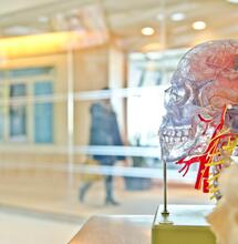 Alzheimer’s Can Pass Between Humans in Rare Cases