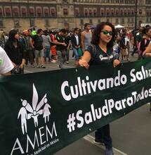 AMEM: la asociación del cannabis medicinal en México.