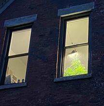 American Marijuana: cosa cambia quando la cannabis diventa legale