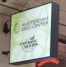 Amsterdam Seed Center