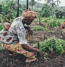 El monopolio del Cannabis en África