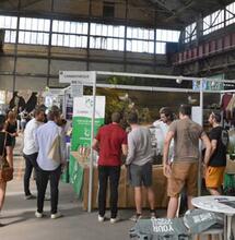 Annulation Hempzon 2020!