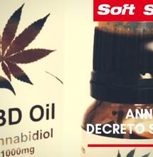 Sospeso il Decreto Speranza sul CBD come stupefacente. Intervista a Michele Sodano