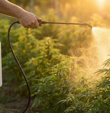 La guía definitiva de prevención: Blindaje de cultivos